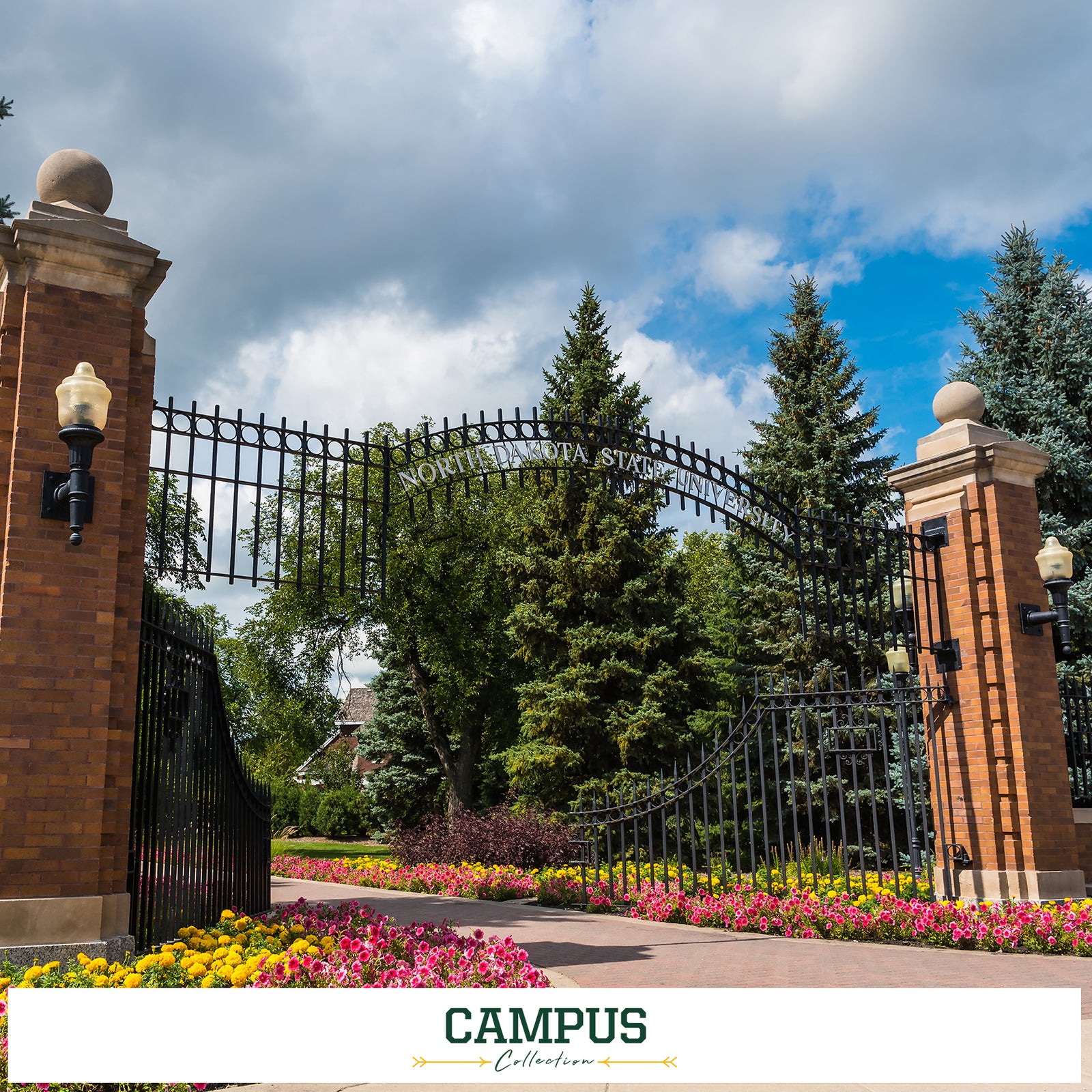North Dakota State Bison - Campus