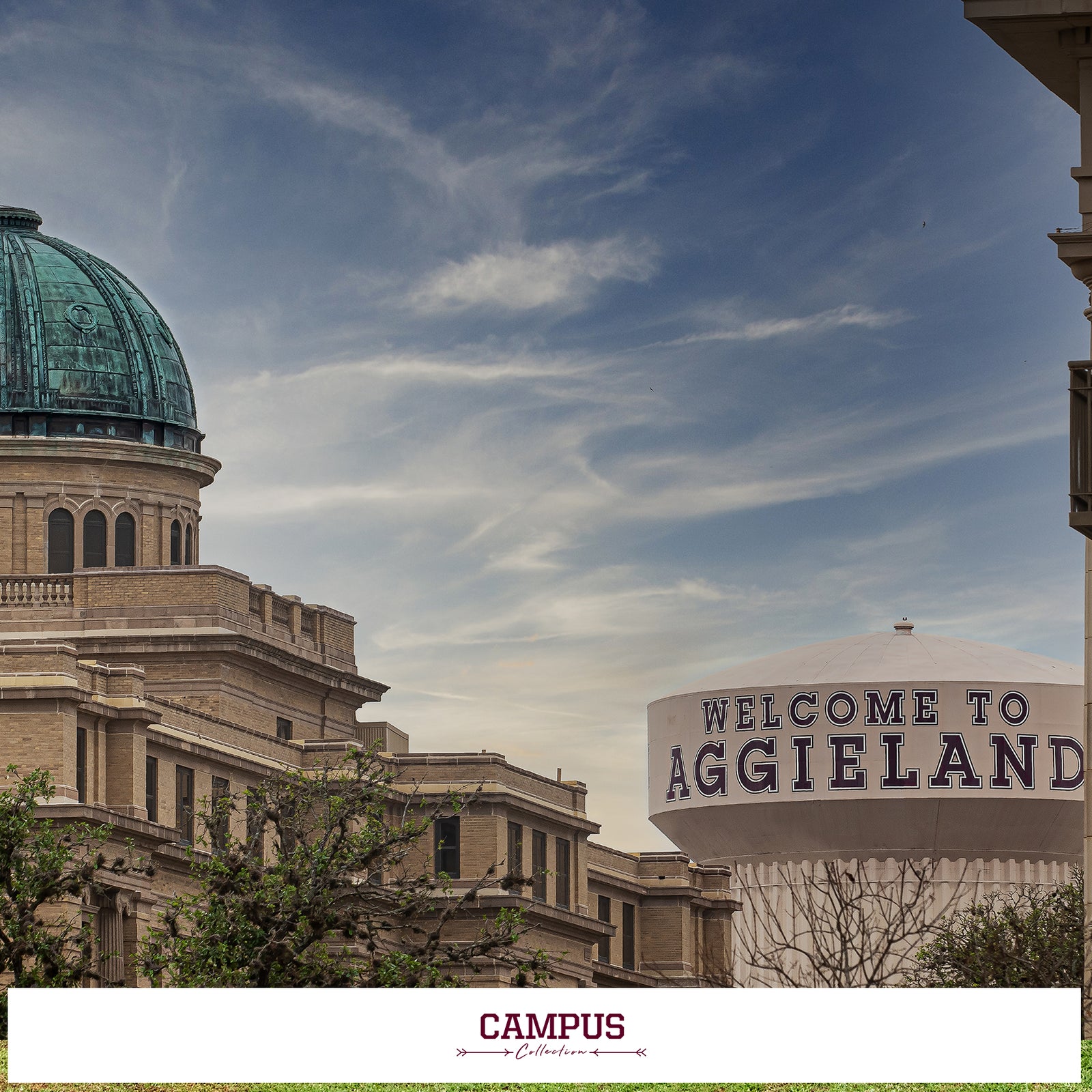 TEXAS A&M AGGIES - CAMPUS