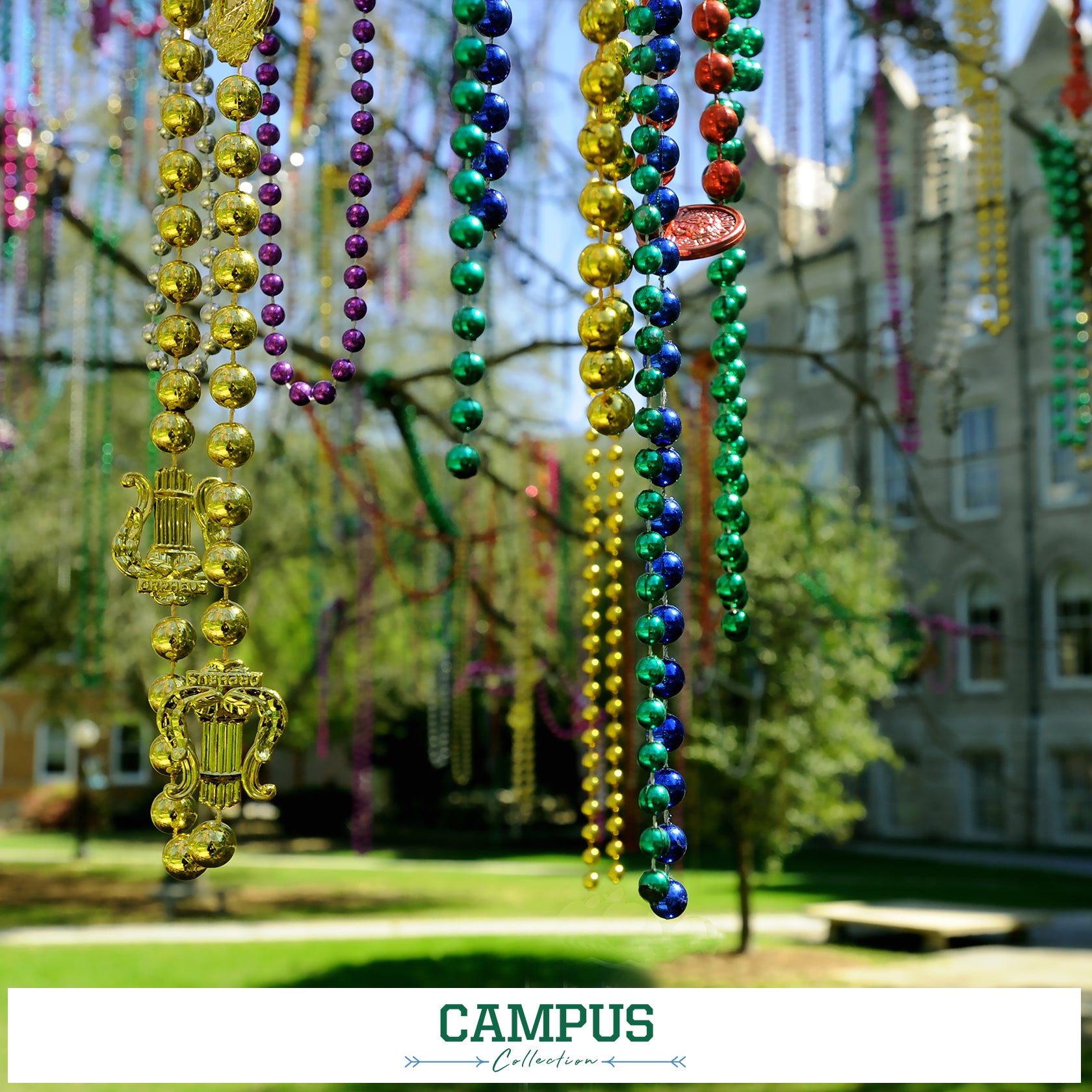 Tulane Green Wave - Campus Collection