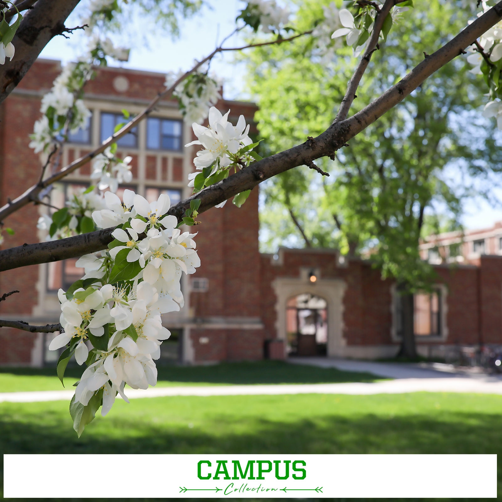 North Dakota Fighting Hawks - Campus