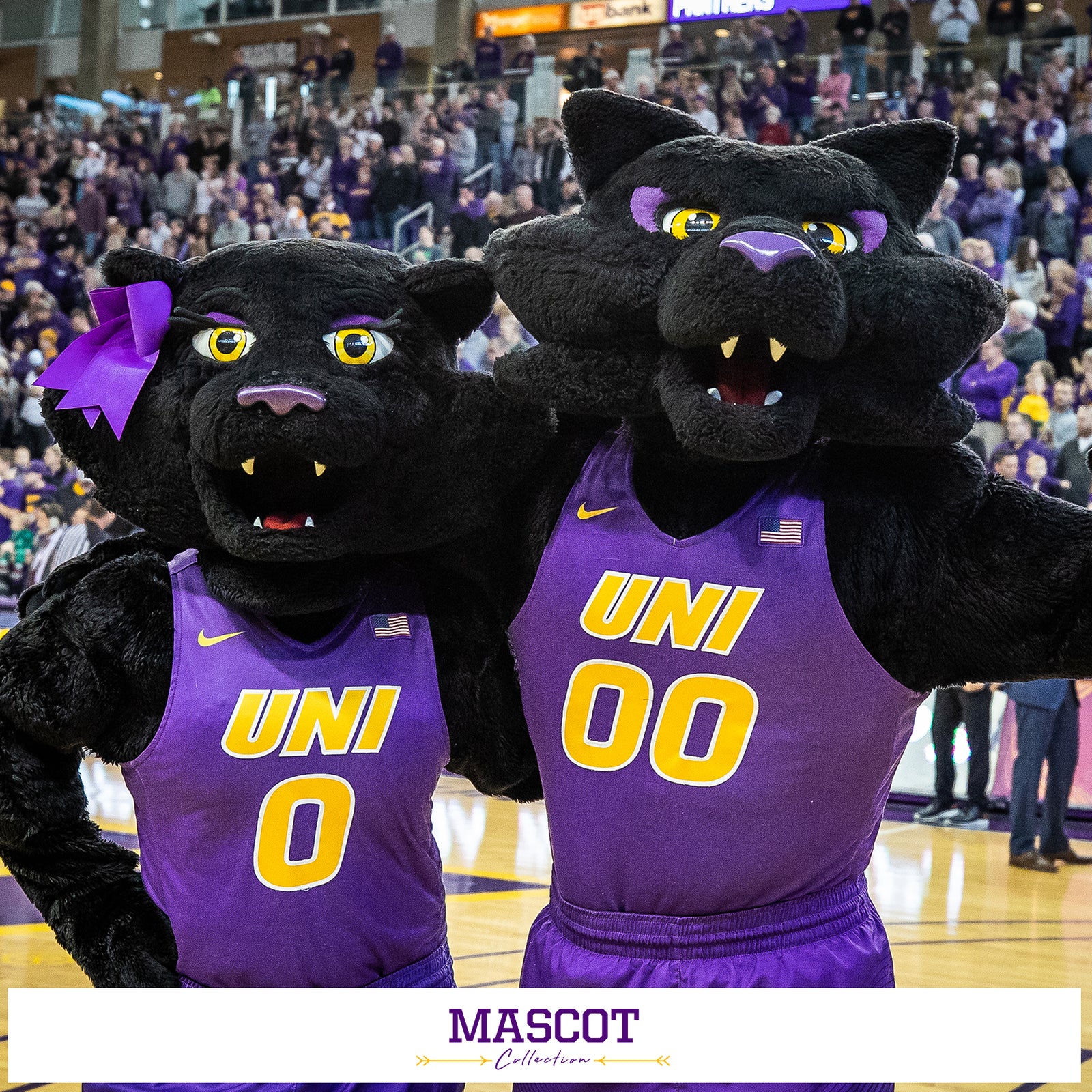 Northern Iowa Panthers - Mascot