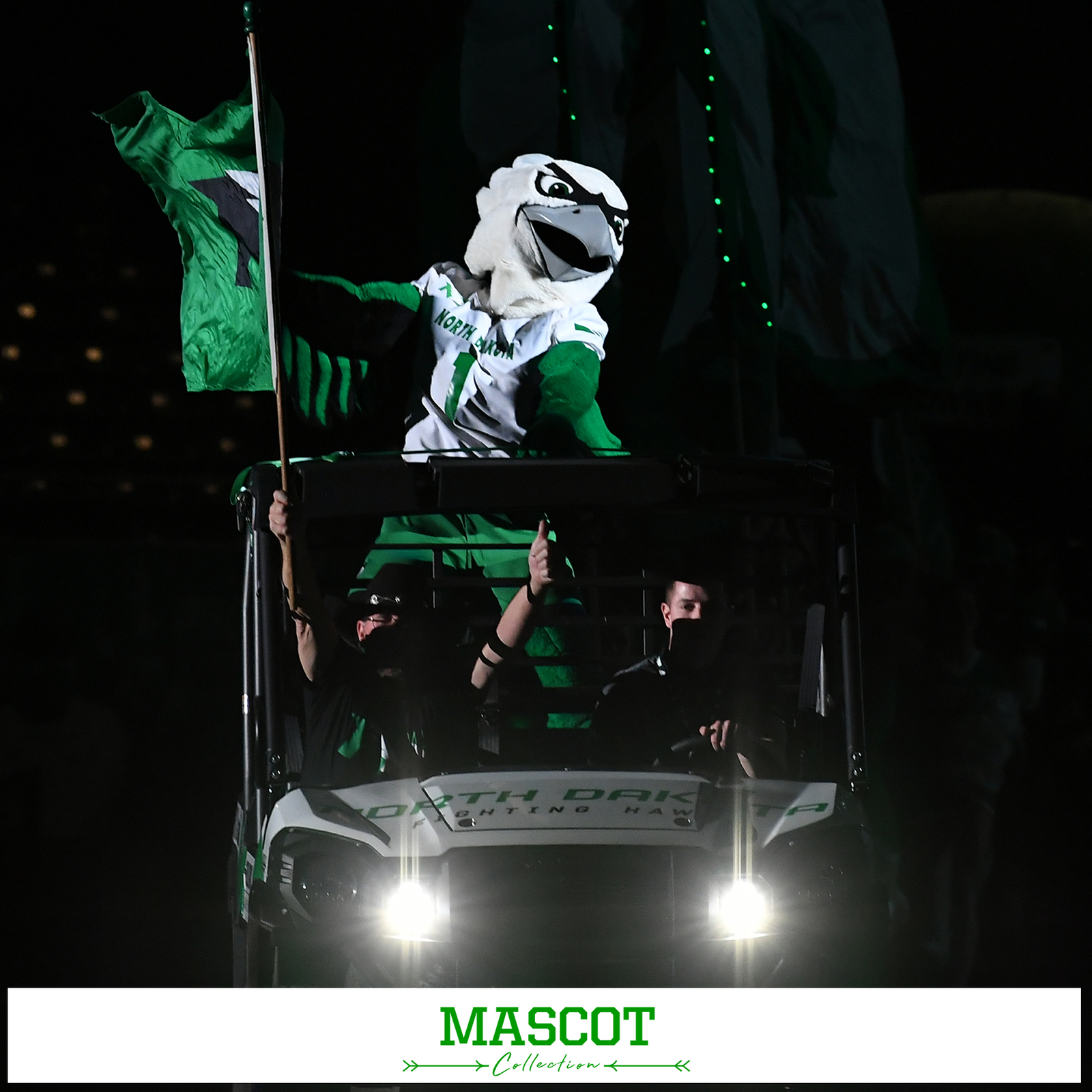 North Dakota Fighting Hawks - Mascot