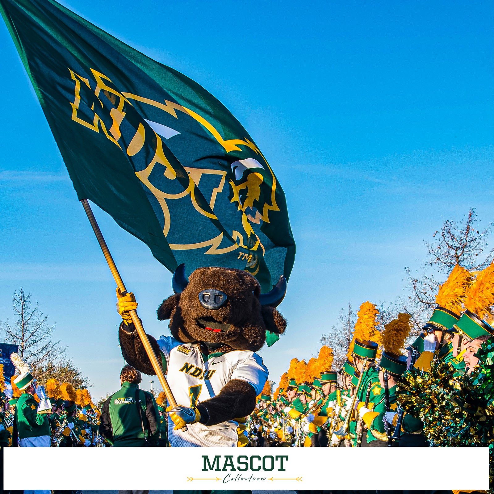 North Dakota State Bison - Mascot