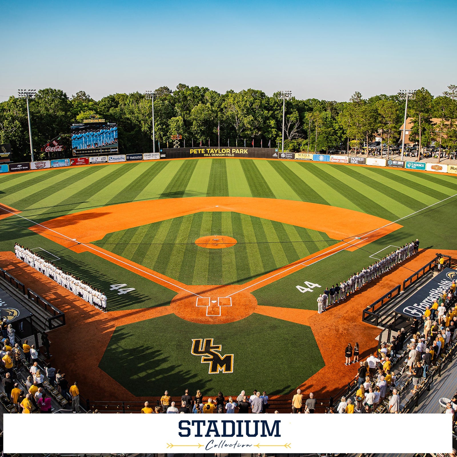 Southern Miss Golden Eagles - Stadium Collection