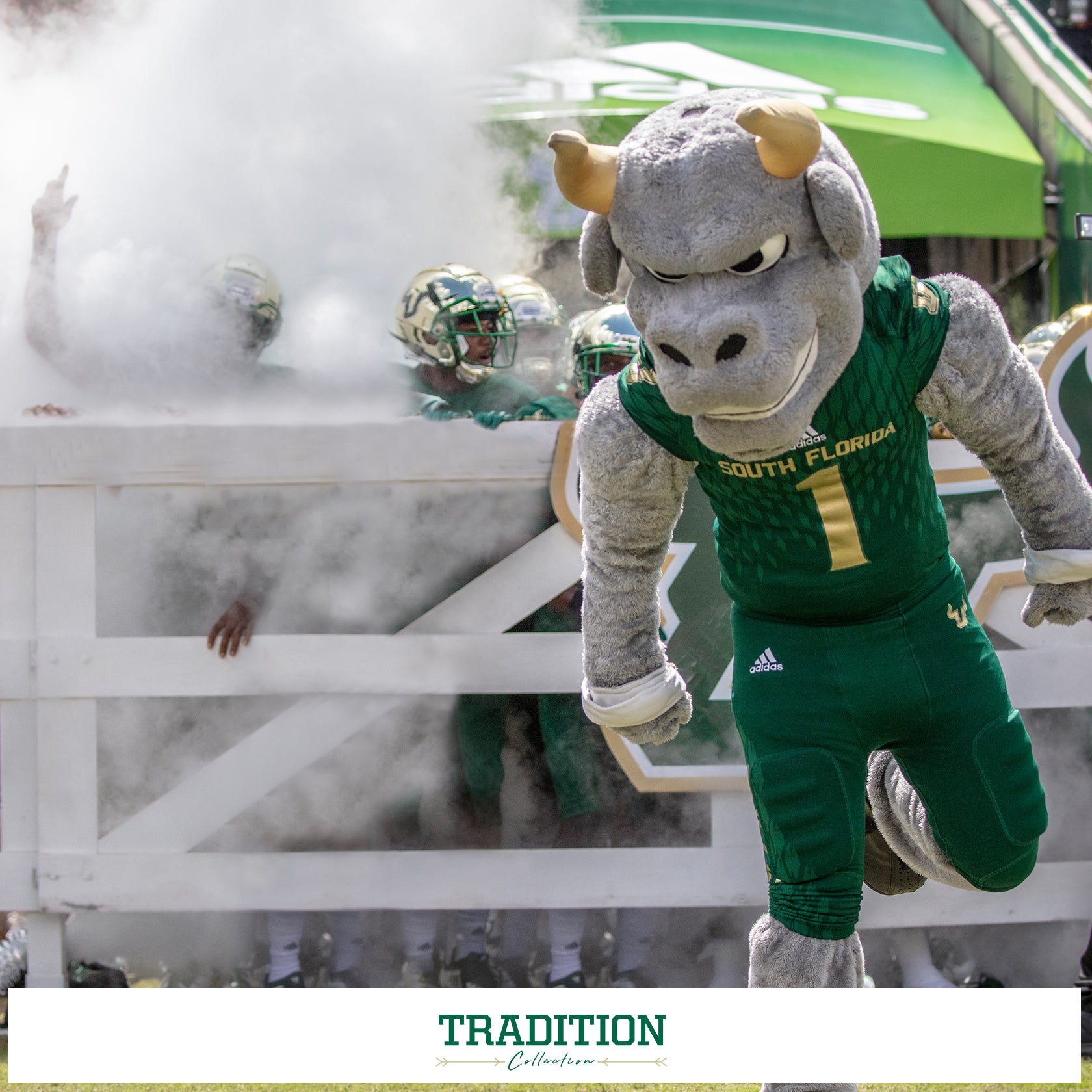 South Florida Bulls - Tradition