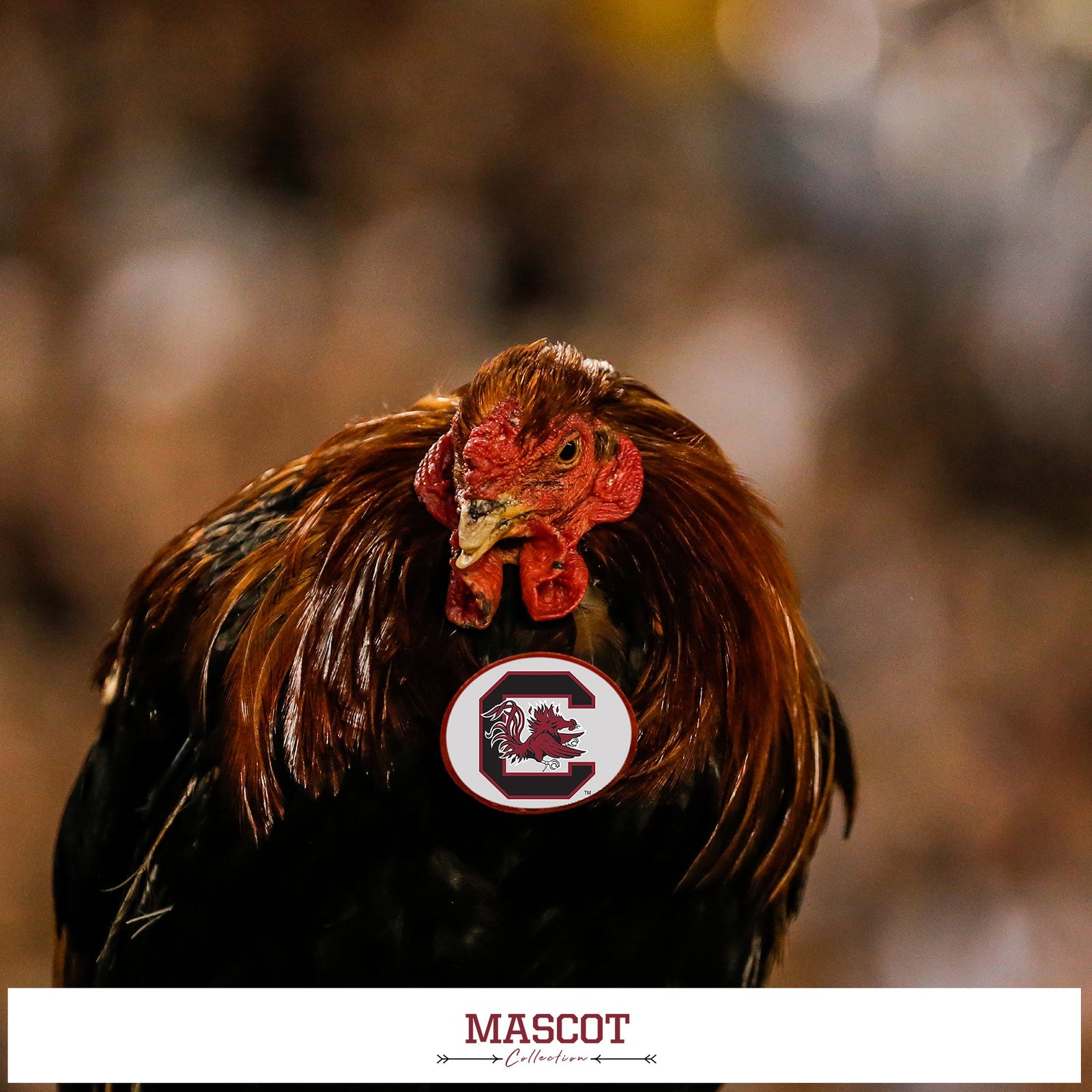 South Carolina Gamecocks - Mascot
