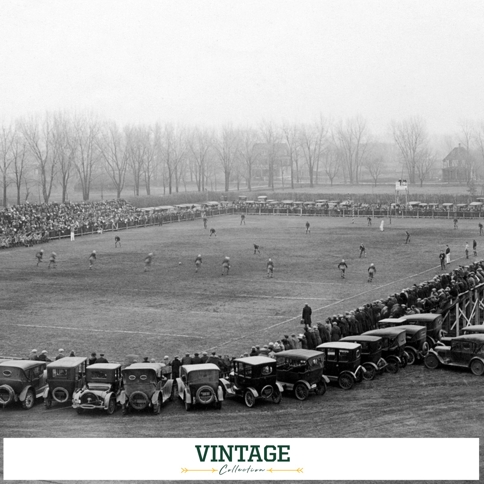 North Dakota State Bison - Vintage