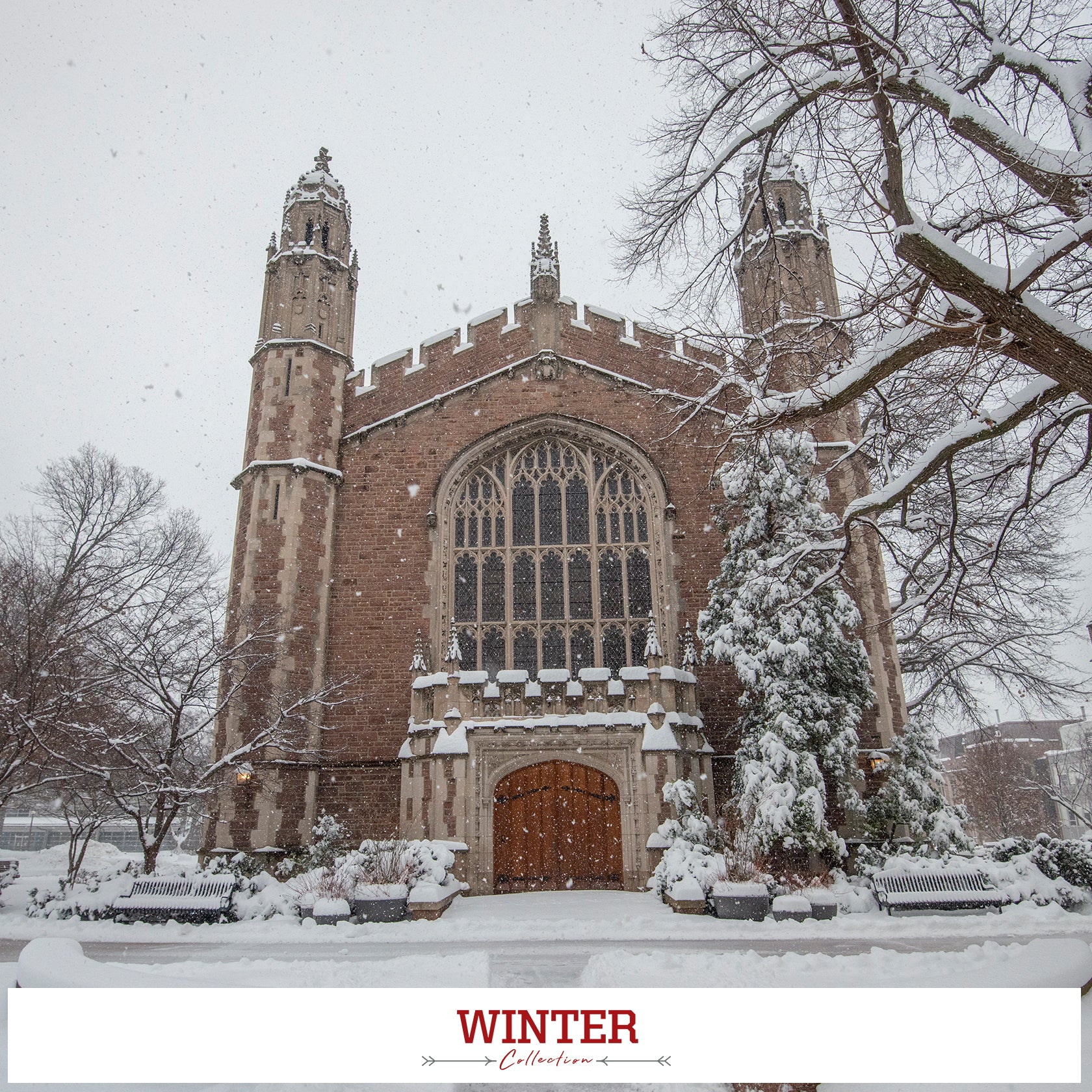 WashU - Winter Collection