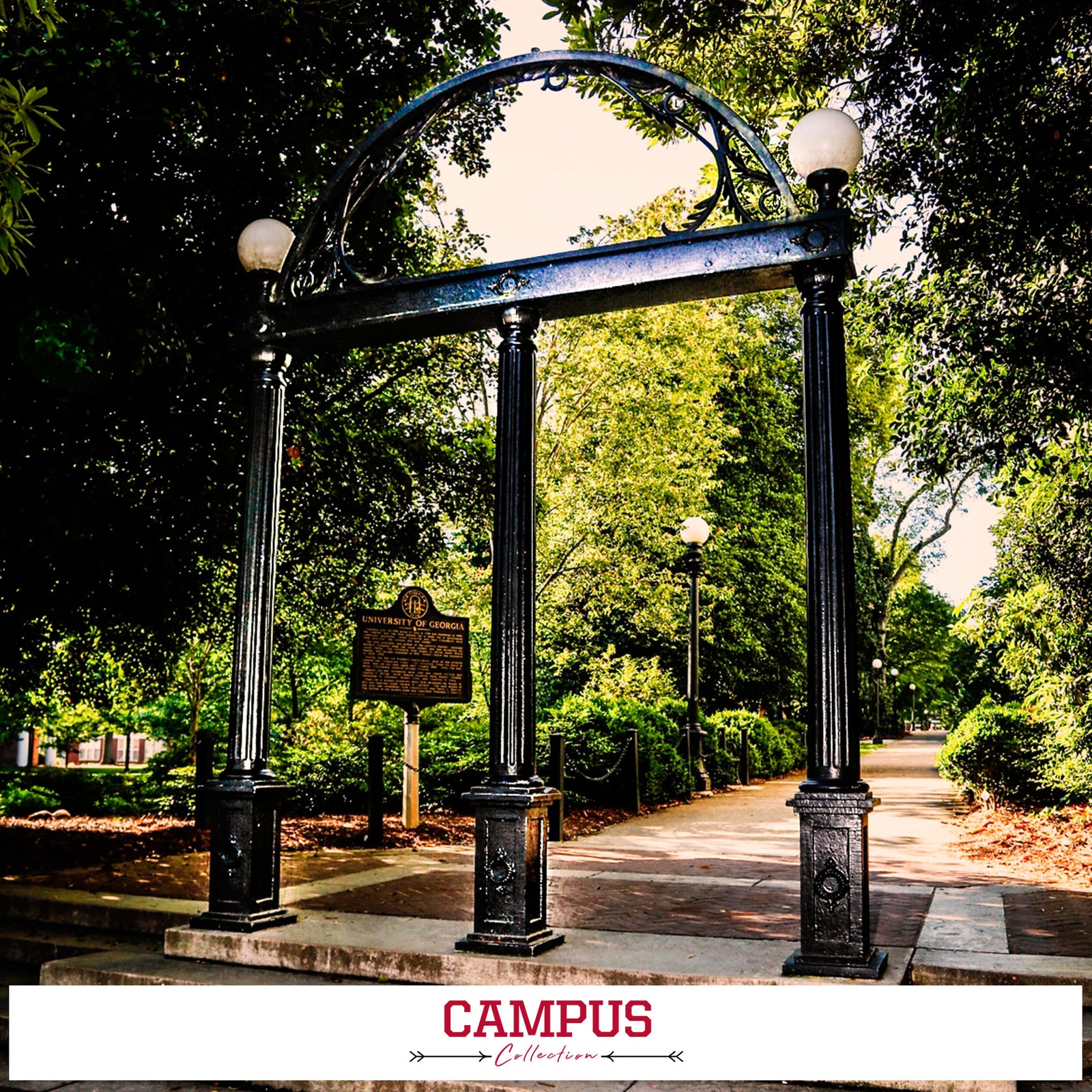 Georgia Bulldogs - Campus