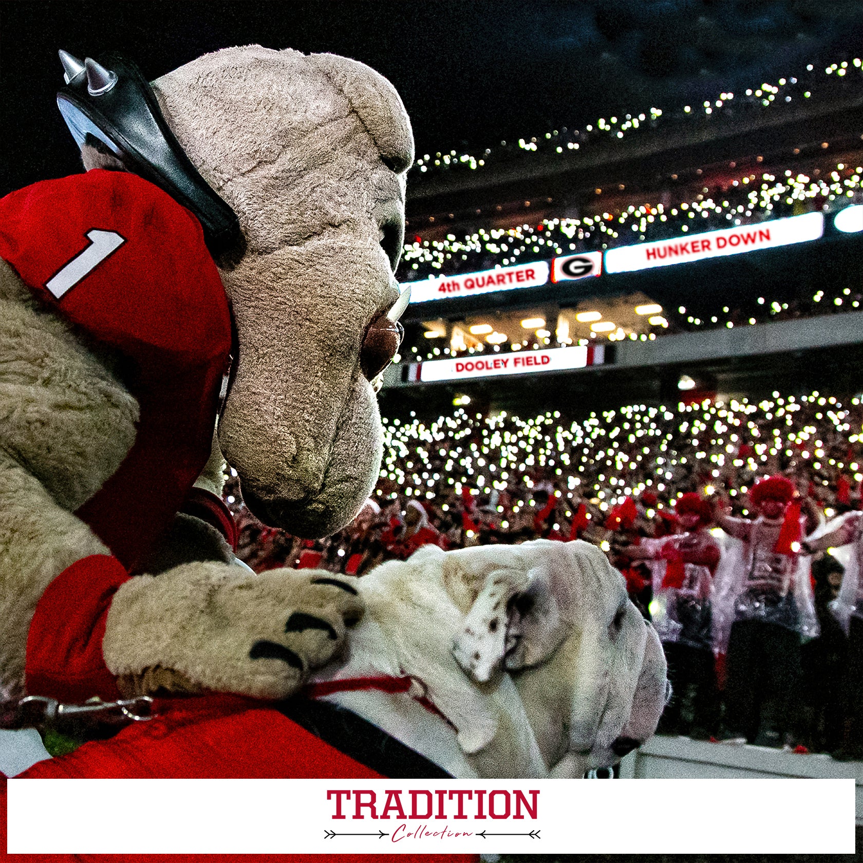 Georgia Bulldogs - Tradition