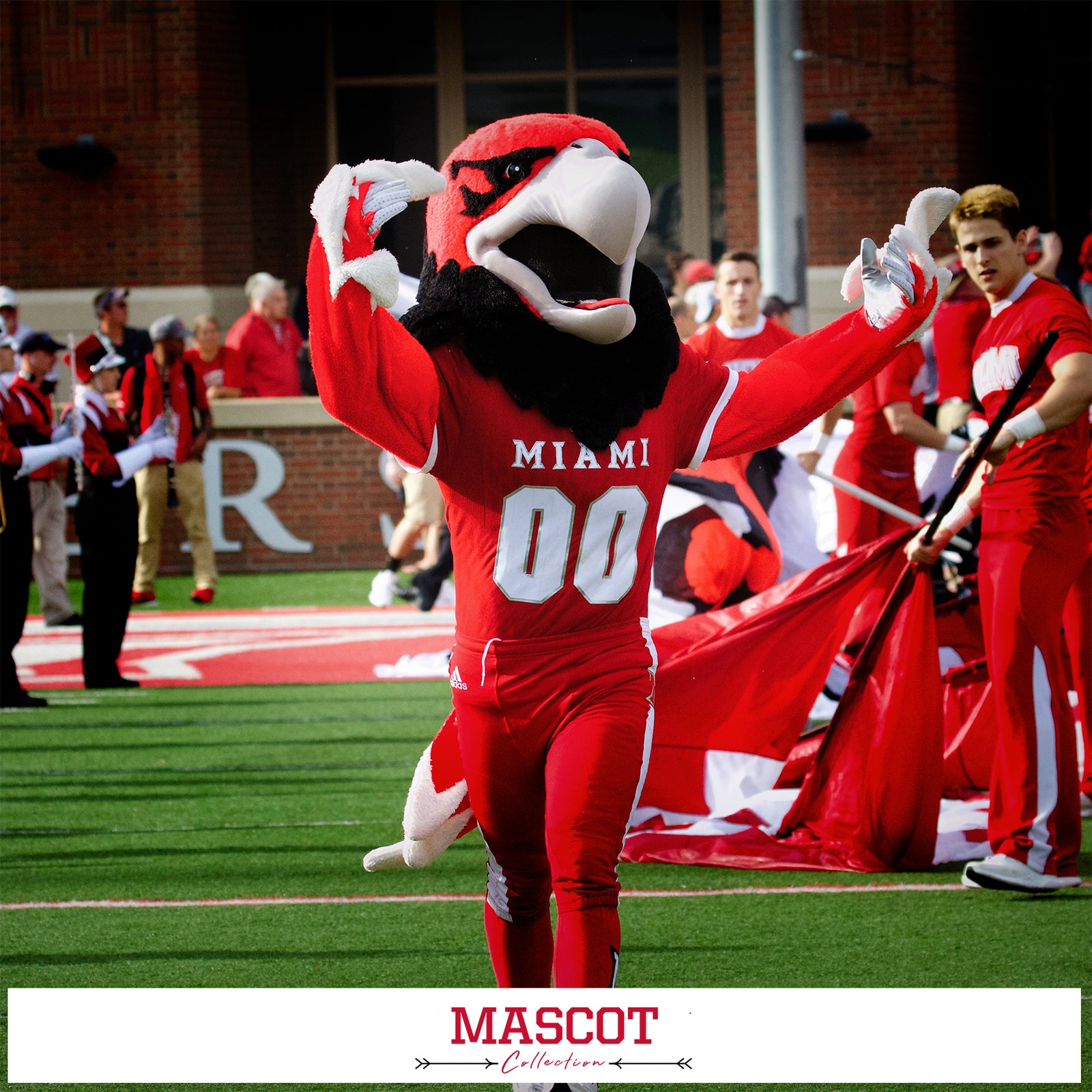 Miami Redhawks - Mascot