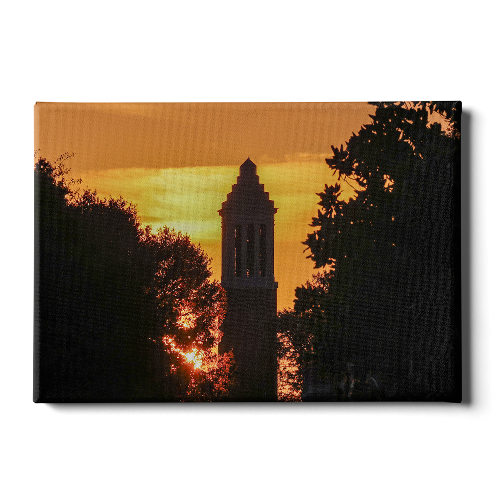 Alabama Crimson Tide - Denny Chimes Blaze - College Wall Art #Canvas