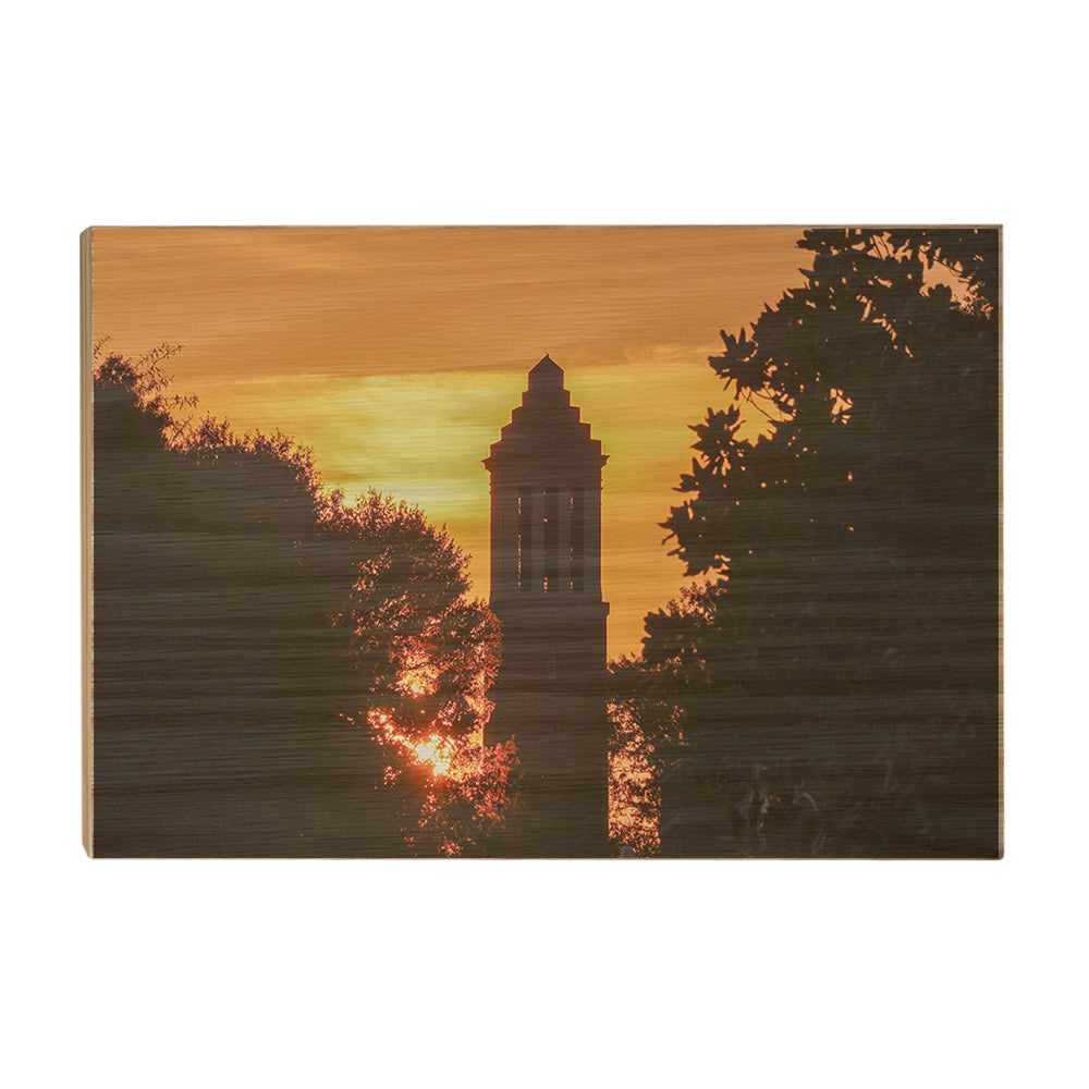 Alabama Crimson Tide - Denny Chimes Blaze - College Wall Art #Canvas