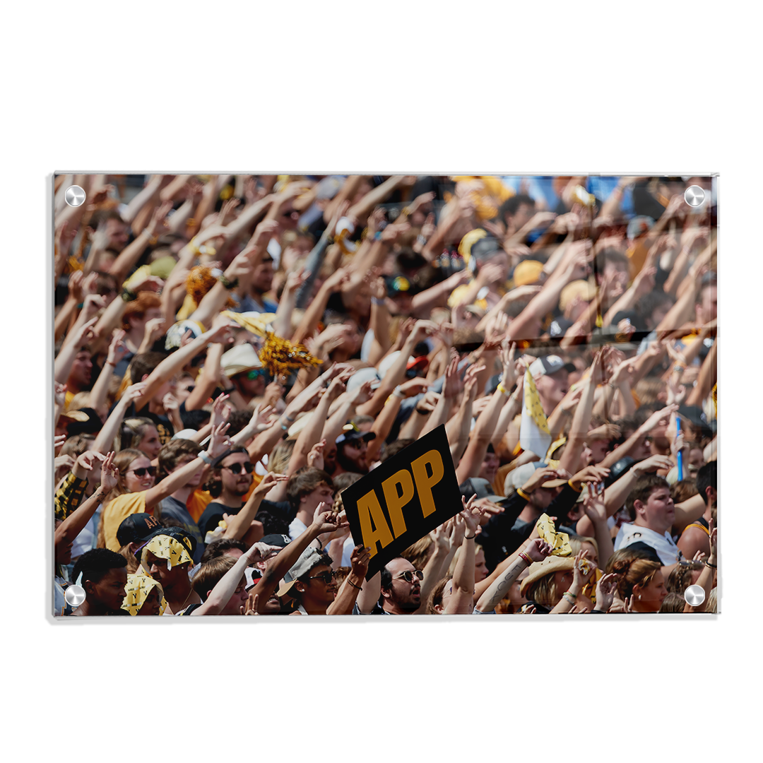 Appalachian State Mountaineers - APP - College Wall Art #Canvas