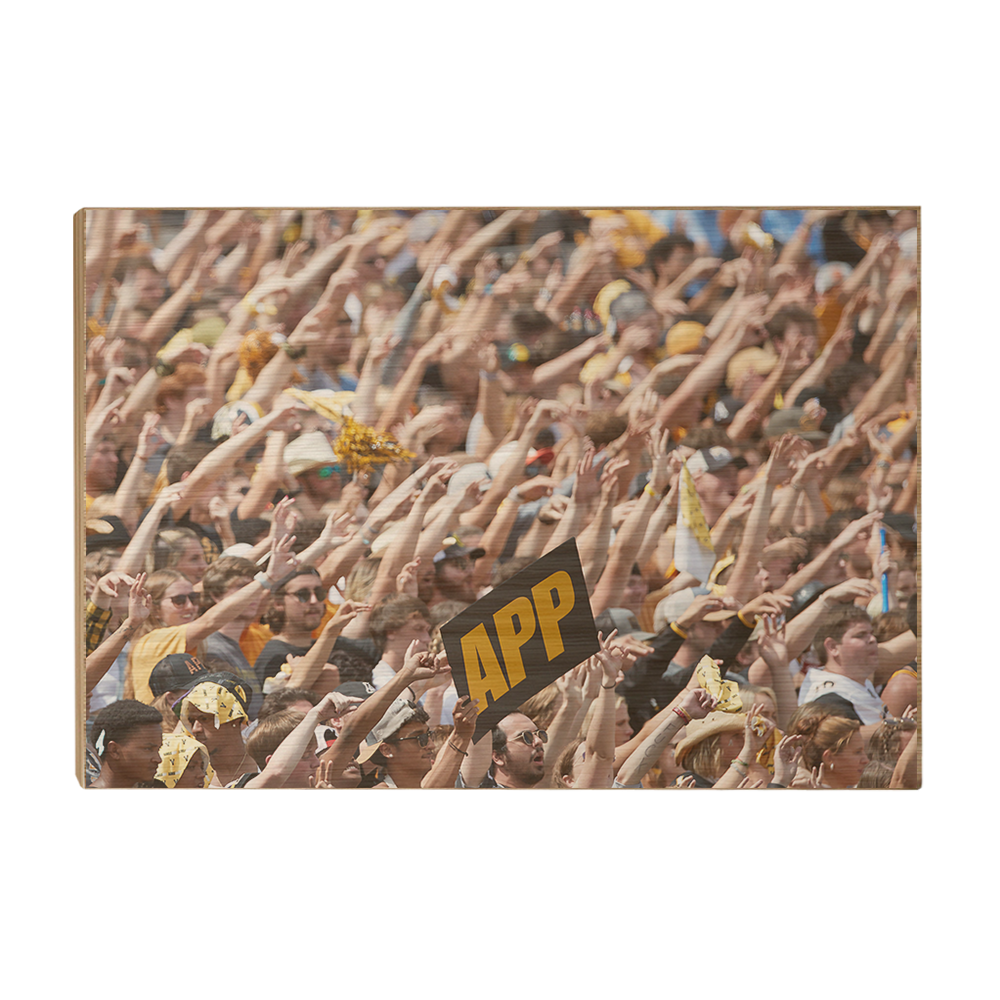 Appalachian State Mountaineers - APP - College Wall Art #Canvas