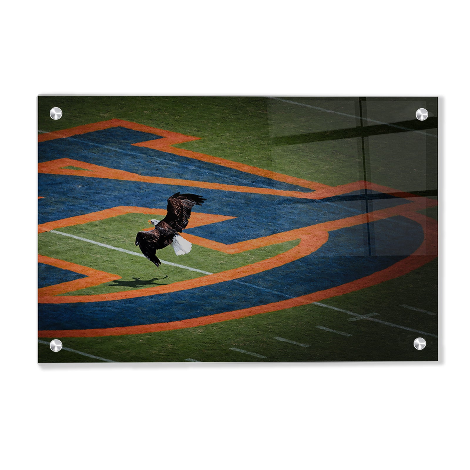 Auburn Tigers - War Eagle - College Wall Art #Canvas 