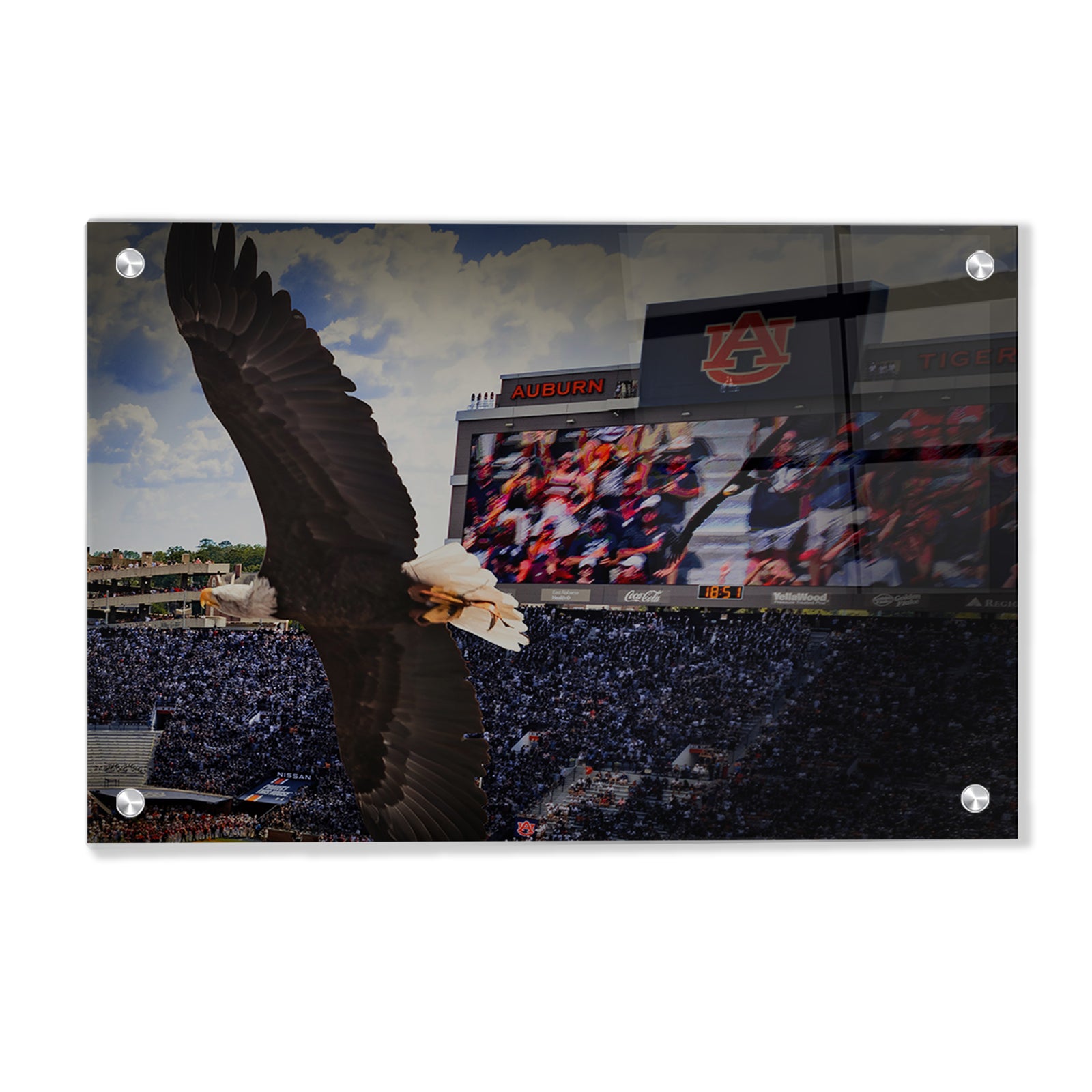 Auburn Tigers - War Eagle Soars - College Wall Art #Canvas