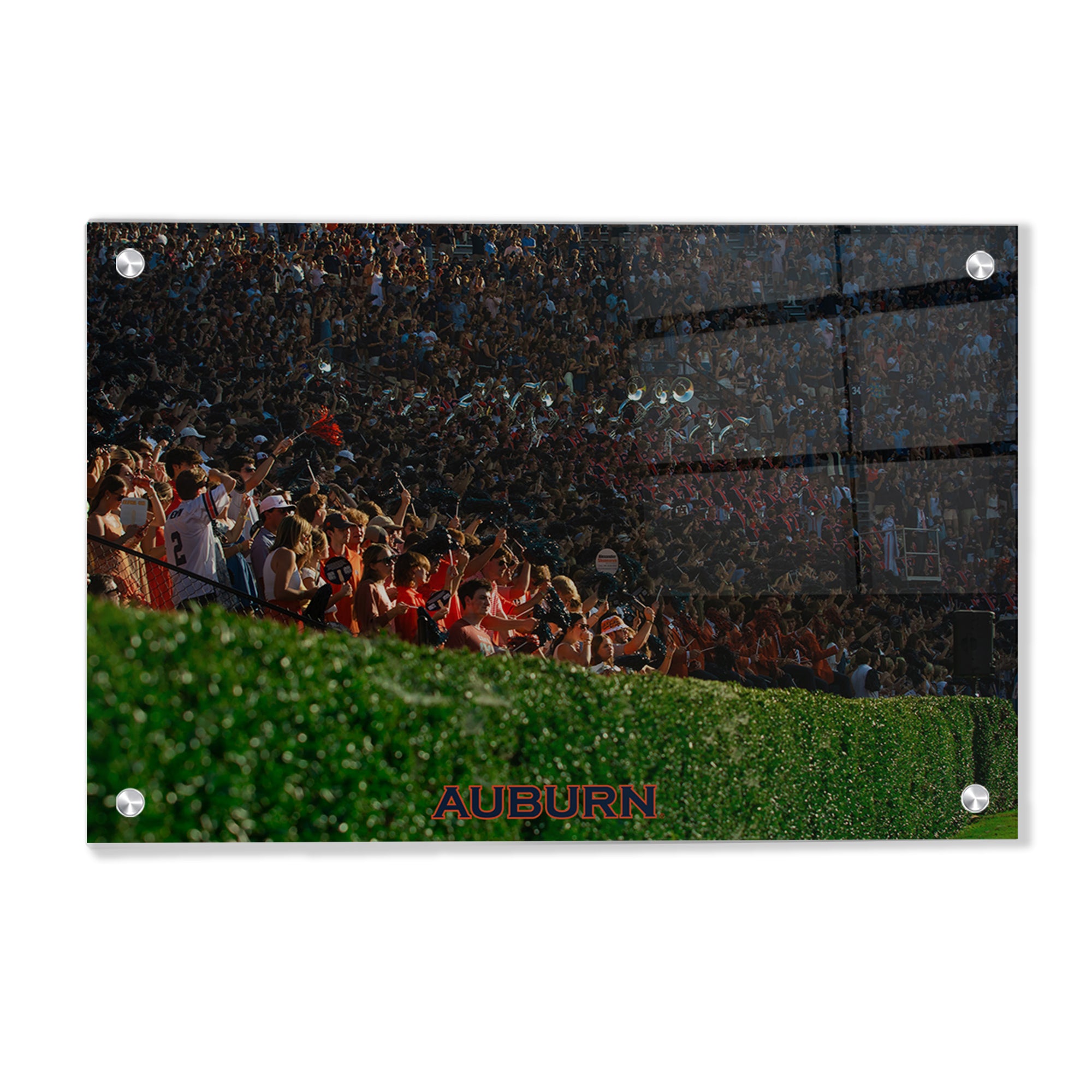 Auburn Tigers - Auburn's Hedge - College Wall Art #Canvas