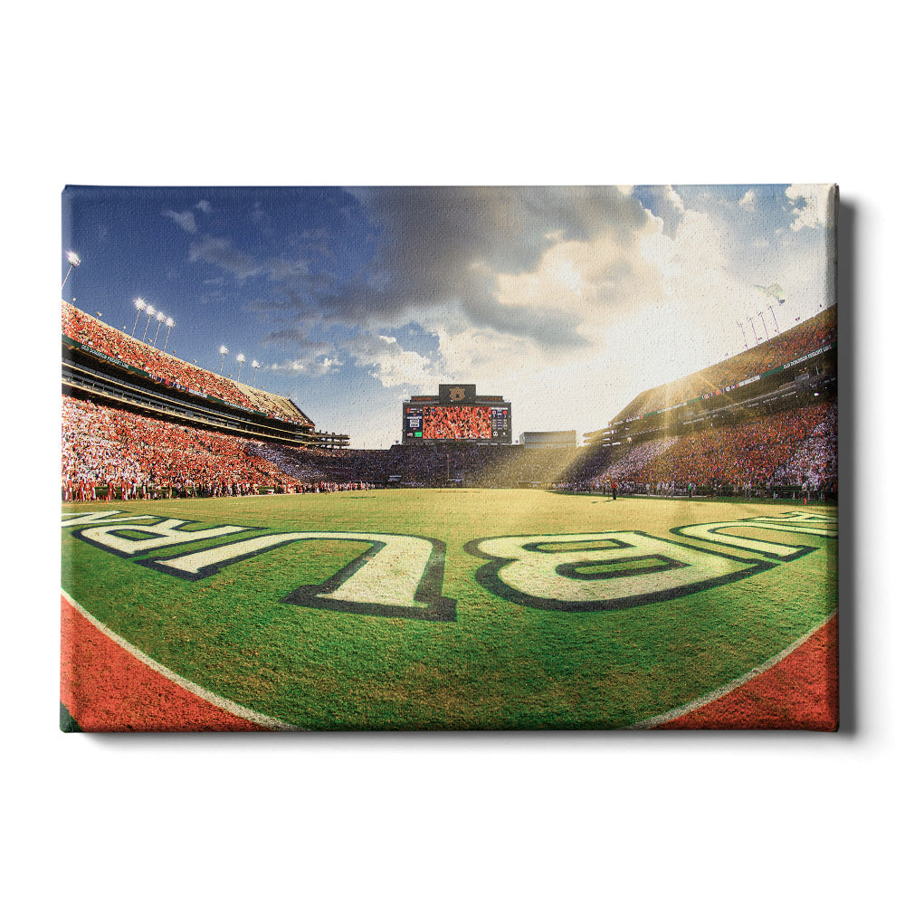 Auburn Tigers - Fisheye End Zone - College Wall Art #Canvas 
