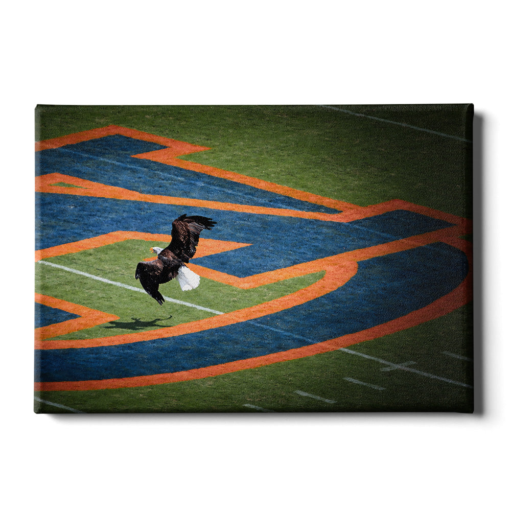Auburn Tigers - War Eagle - College Wall Art #Canvas 