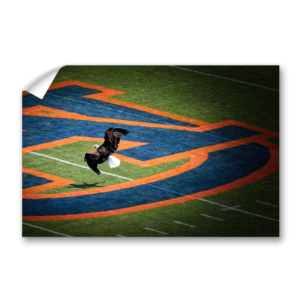Auburn Tigers - War Eagle - College Wall Art #Canvas 