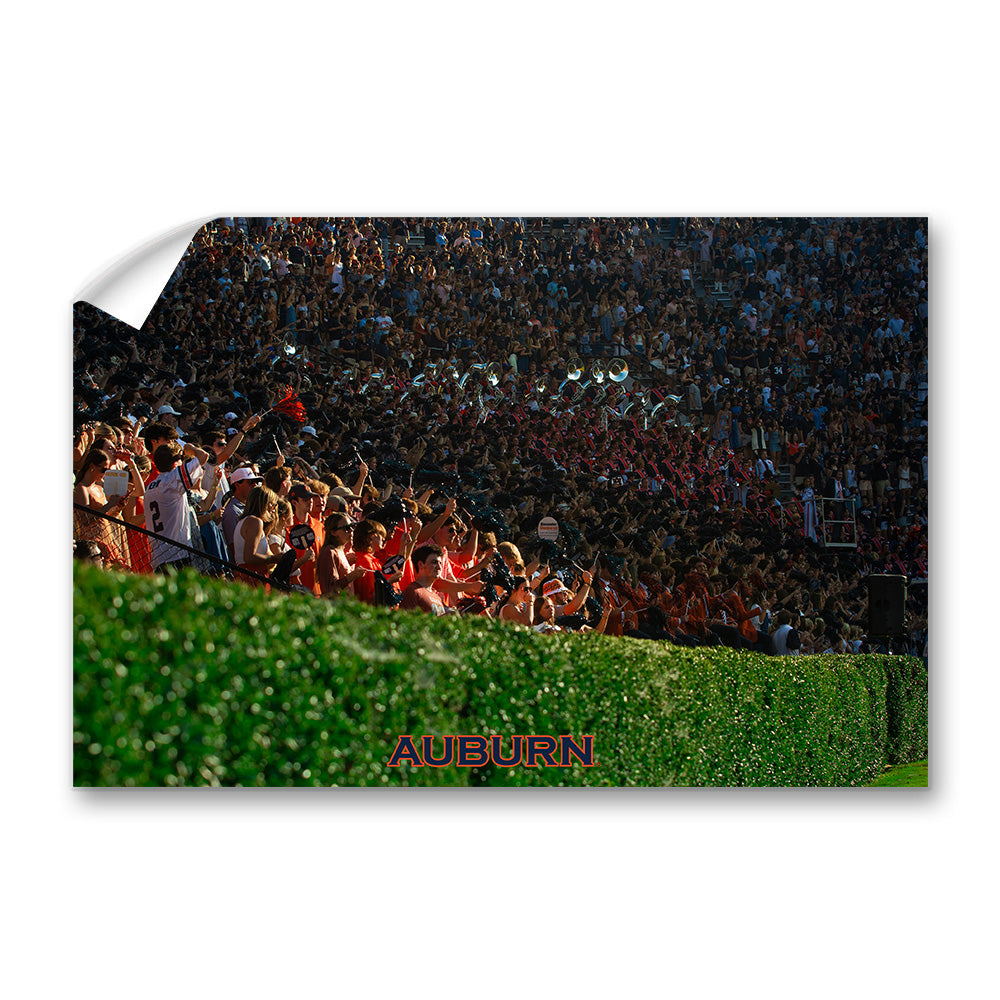 Auburn Tigers - Auburn's Hedge - College Wall Art #Canvas