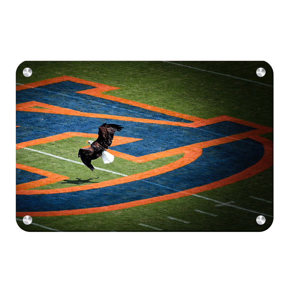 Auburn Tigers - War Eagle - College Wall Art #Canvas 