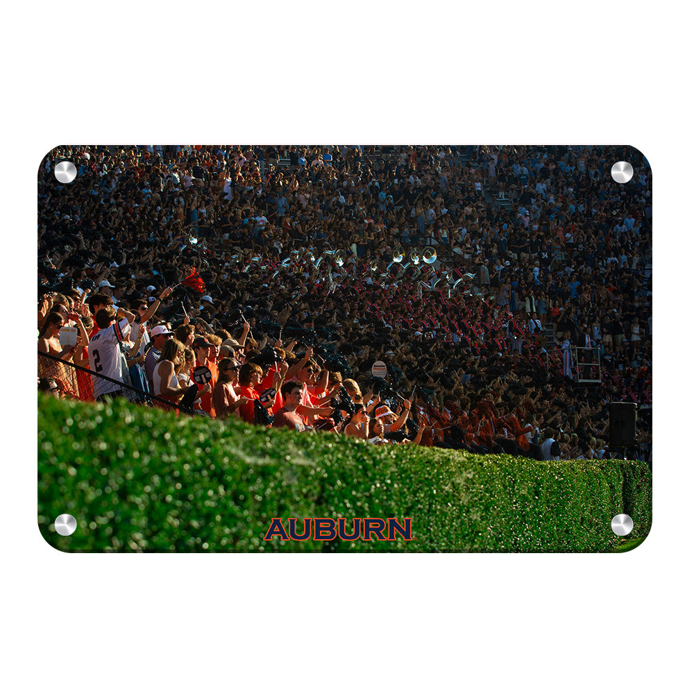 Auburn Tigers - Auburn's Hedge - College Wall Art #Canvas