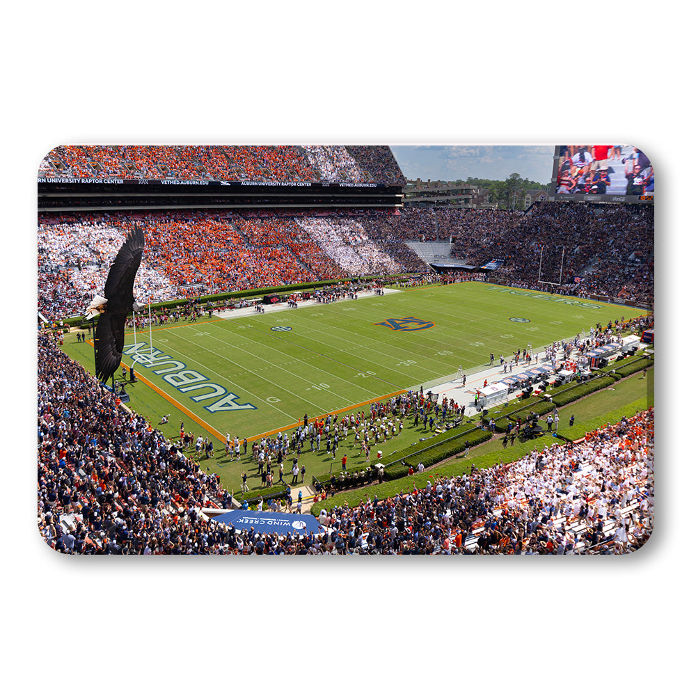 Auburn Tigers - War Eagle Flight - College Wall Art #Canvas