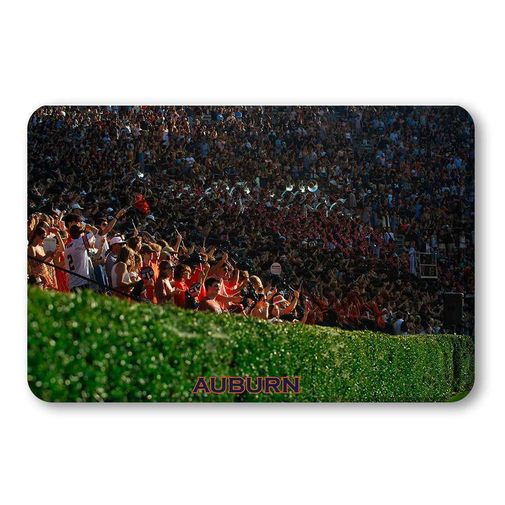 Auburn Tigers - Auburn's Hedge - College Wall Art #Canvas