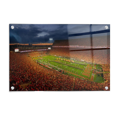 Clemson Tigers - Clemson - College Wall Art #Acrylic