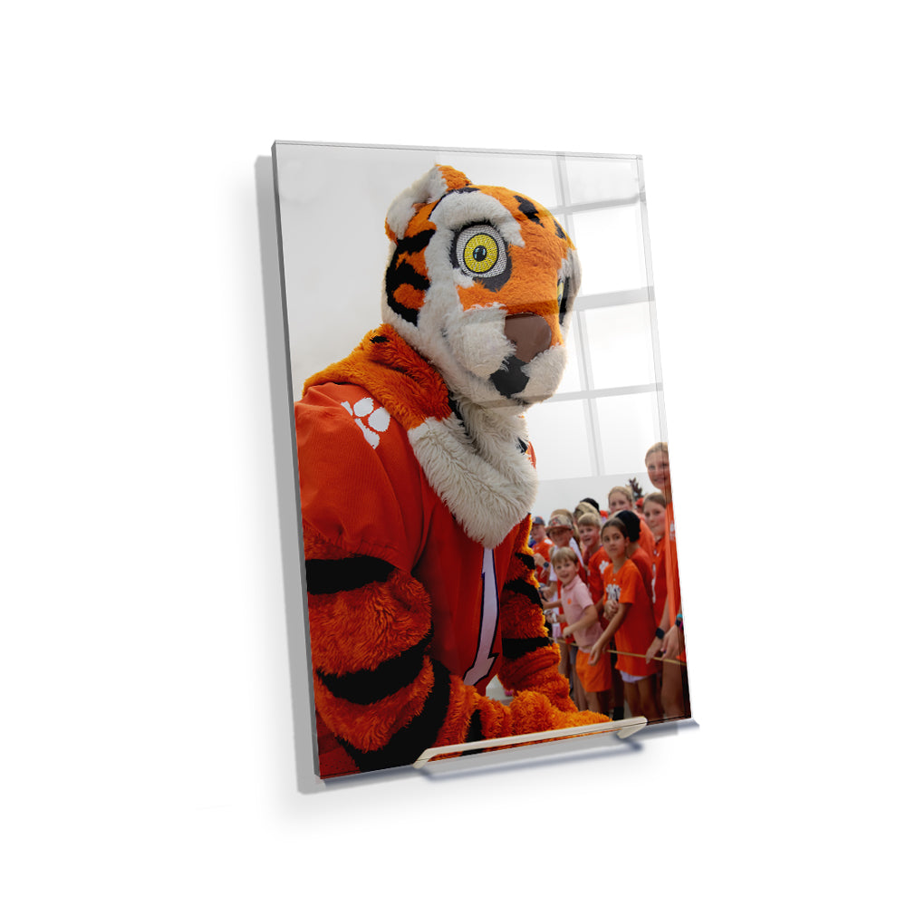 Clemson Tigers - The Tiger - College Wall Art #Canvas