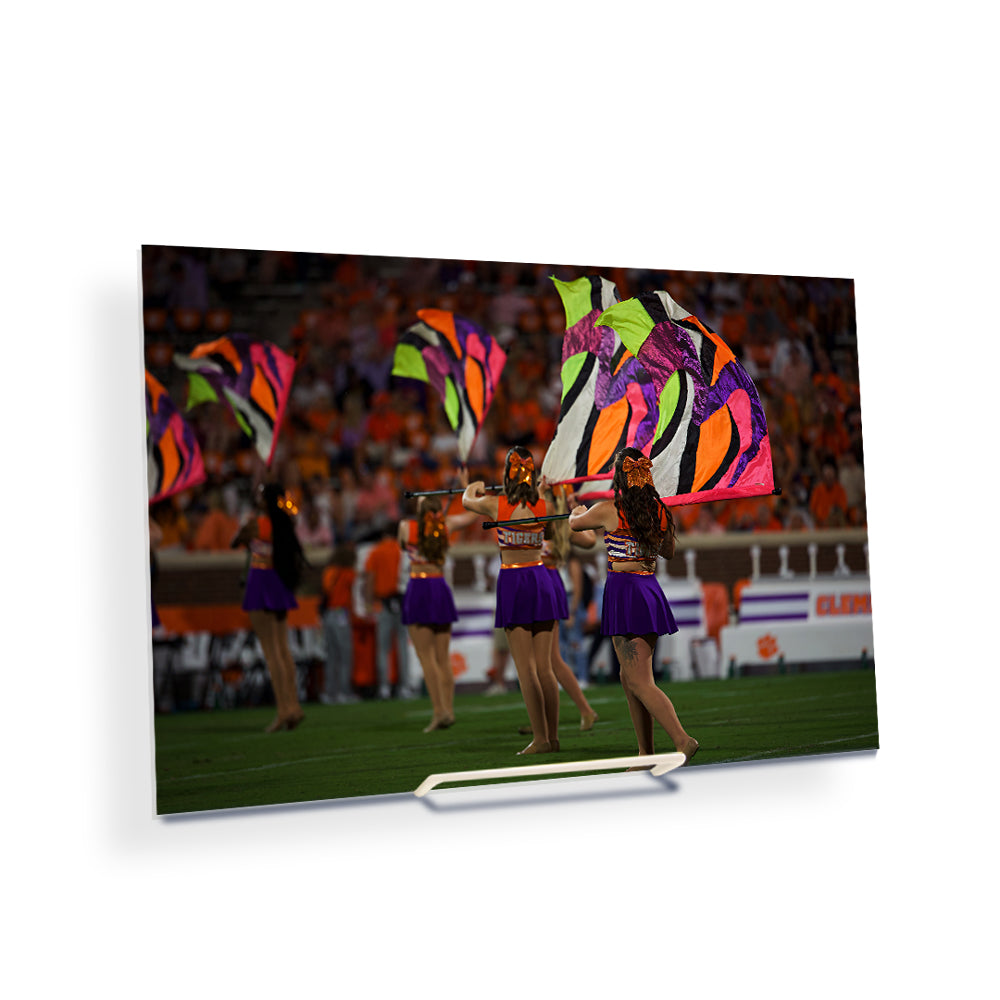 Clemson Tigers - Tiger Guard - College Wall Art #Canvas