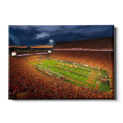 Clemson Tigers - Clemson - College Wall Art #Canvas