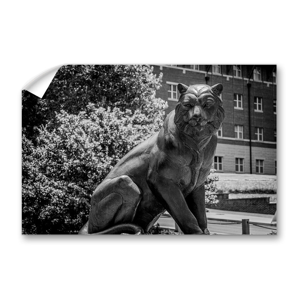 Clemson Tigers - El Tigre - College Wall Art #Canvas 