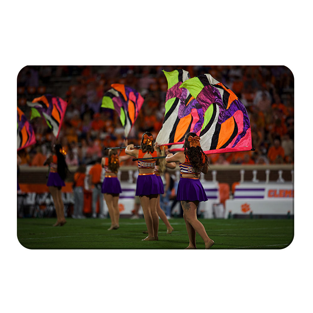 Clemson Tigers - Tiger Guard - College Wall Art #Canvas