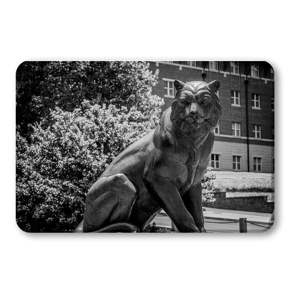 Clemson Tigers - El Tigre - College Wall Art #Canvas 