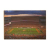 Clemson Tigers - Tigers in Death Valley - College Wall Art #Wood