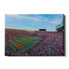 Florida Gators - Go Gators - College Wall Art #Canvas