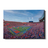 Florida Gators - Enter the Gators - College Wall Art #Canvas