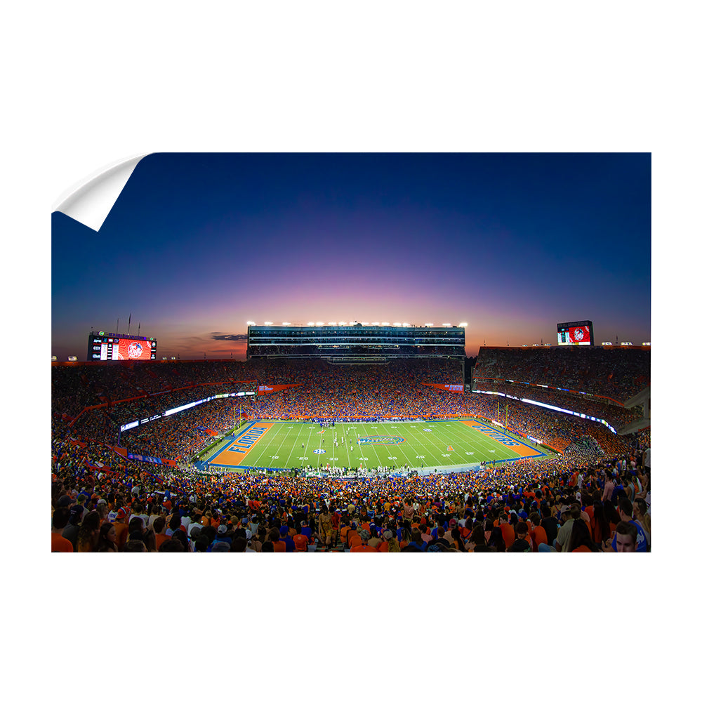 Florida Gators - Swamp Sunset - College Wall Art #Canvas