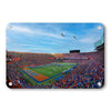 Florida Gators - Gator Flyover - College Wall Art #Metal