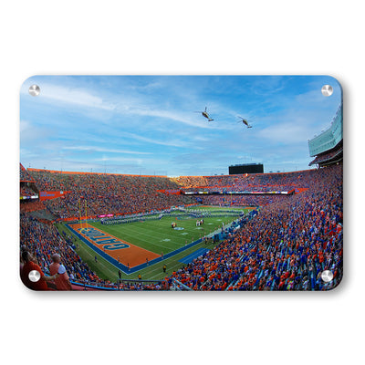 Florida Gators - Gator Flyover - College Wall Art #Metal