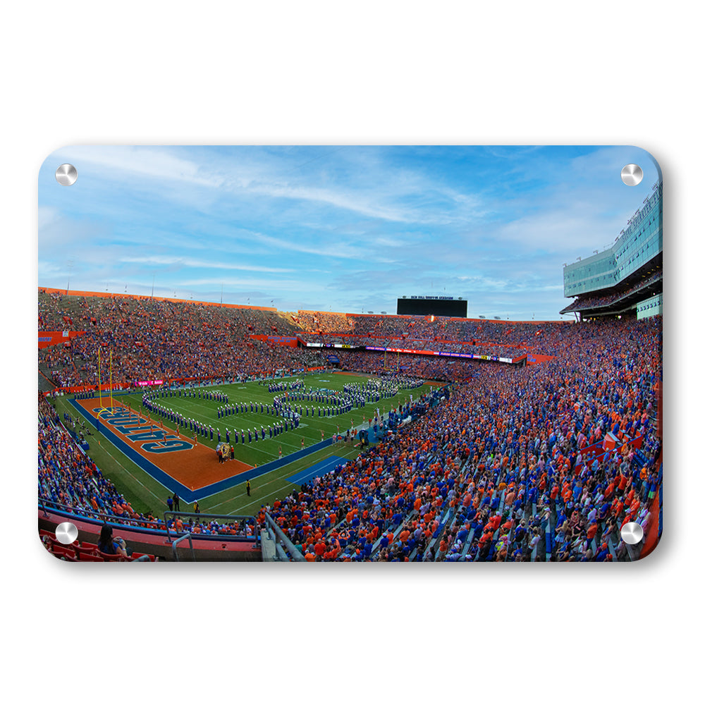 Florida Gators - Go Gators - College Wall Art #Canvas