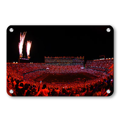 Florida Gators - Orange - College Wall Art #Metal