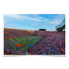 Florida Gators - Go Gators - College Wall Art #Poster