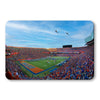 Florida Gators - Gator Flyover - College Wall Art #PVC