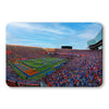 Florida Gators - Go Gators - College Wall Art #PVC