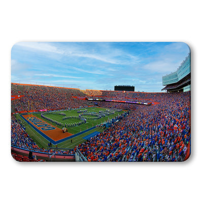 Florida Gators - Go Gators - College Wall Art #PVC