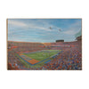 Florida Gators - Gator Flyover - College Wall Art #Wood